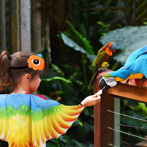 Disfraz Pájaro Alas De Loro Para Niños Con Máscara De Pájaro