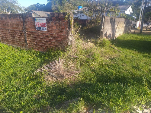 Imagem 9 de 10 de Terreno À Venda, Primavera, Pontal Do Parana - Pr - 239