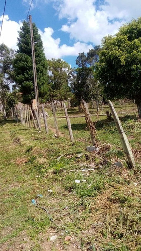 Imagem 11 de 11 de Chacara 2000m2