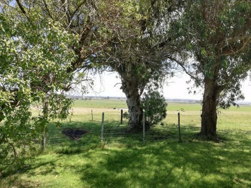 Campo En Venta En Rocha Ref. 7123