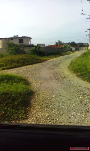 Imagen 2 de 5 de Terrenos En Venta