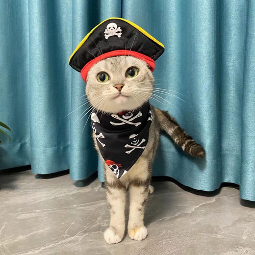 Disfraz De Gato Pirata Con Sombrero Y Triángulo Para Hallowe