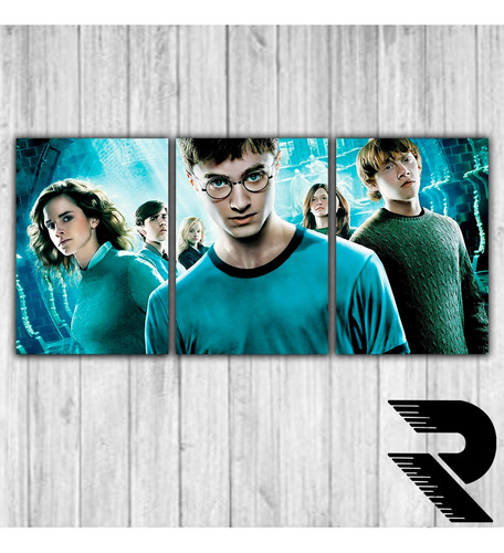 Cuadro De Harry Potter 5 | 1 | Triptico