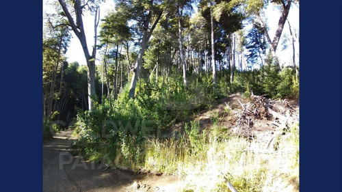 Imagen 4 de 18 de Venta Lote/terreno Con Financiación De 1246,42 M2 Uf 2 - Faldeo Del Bayo, Villa La Angostura