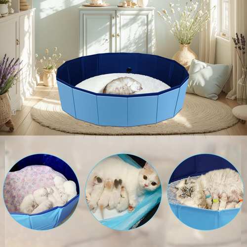 Caja De Parto Para Gatos Piscina De Anidación Mmg