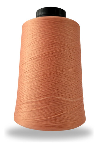 Linha Para Overlock 100g 100% Poliester (tex18) Linhanyl Cor 212