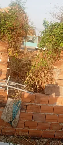 Terreno 20 Mtrs X 8 Mtrs (Usado)