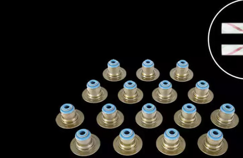 Fel-pro Ss 72802 Engine Valve Stem Oil Seal Set New Free Ccf