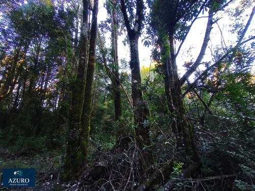 Espacio Ideal 6 Hás, Automó, Puerto Montt. (176432)