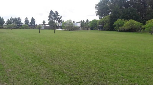 Casa - Punta Ballena. Venta. 5.983 M2 De Terreno