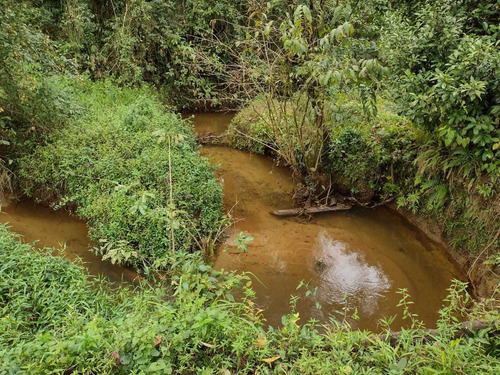 Imagem 3 de 14 de Chácara De 1 Alqueire De Terra Com Casa Simples Em Juquia Sp
