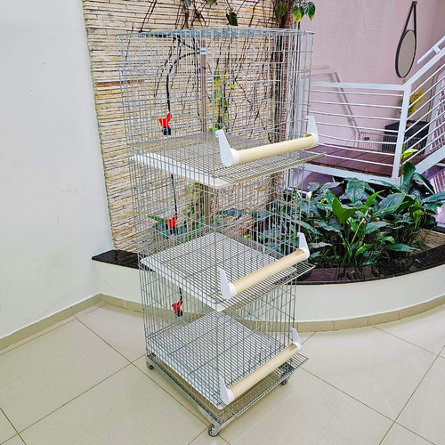Conjunto Com 3 Baterias Gaiolas Para Perdiz Chukar Chucar