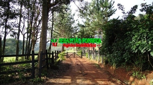Imagem 6 de 15 de Sítio - Pousada - Haras - Em Pouso Alto / São Lourenço - Mg - 777