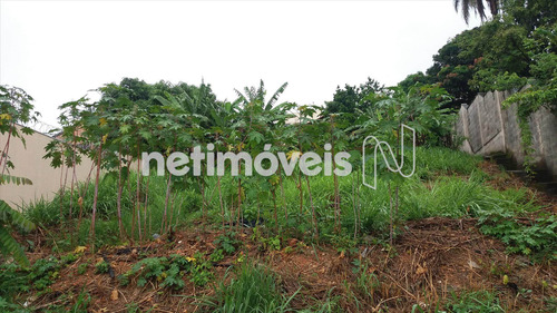 Imagem 5 de 11 de Venda Lote-área-terreno São Gonçalo Contagem - 742462