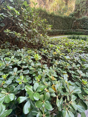 Terreno Ecuestre En Venta Havetno655 Para Desarrollar Finca Para Montar Caballo