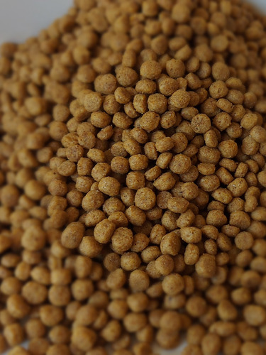 Alimento Balanceado Para Peces Omnivoros X 5 Kg De 6 A 8mm
