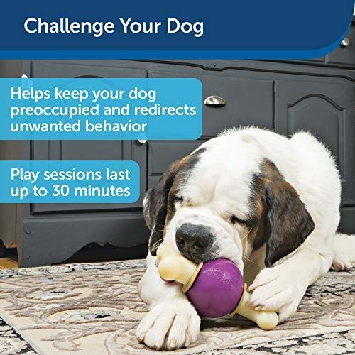 Juguete Masticable Petsafe Busy Buddy Bouncy Bone Para Perro