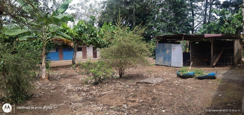 Imagen 10 de 12 de Finca 7000 M2, A 10 Minutos De La Fortuna De San Carlos, Vista Al Volcán Arenal