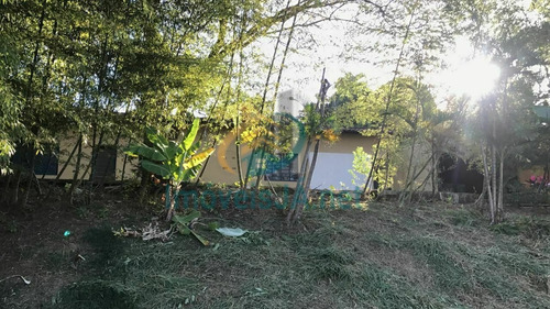 Imagem 18 de 30 de Chácara Para Alugar No Bairro Chácara Estela - Santana De Parnaíba/sp - 1312