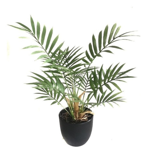 Planta Artificial Tipo Areca 37 Cm(fa205)