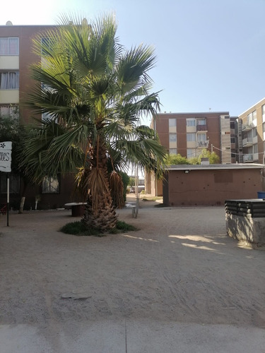 En Venta 1° Piso Los Jazmines Apto Subsidio Ds1+hipotecario