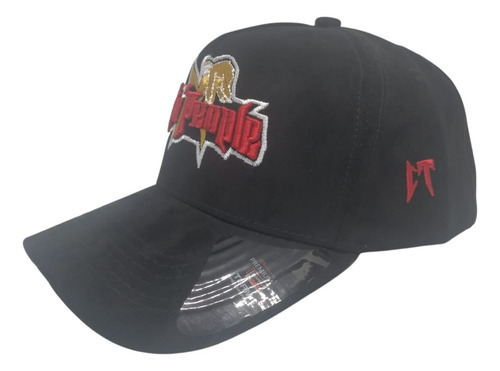 Gorra Snapback Gamuza Bordada Curva Ajustable Premium Fg Cap La People Corrdiso Ajustable
