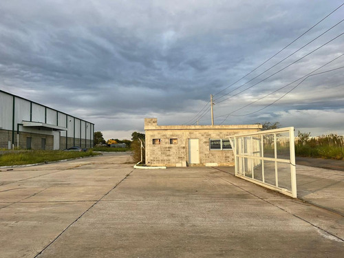Imagen 7 de 30 de Fracción Industrial 26 Ha. Galpón 12.800 M² Cub. - Carlos Spegazzini