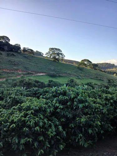 Propriedade Rural 22 Hectares