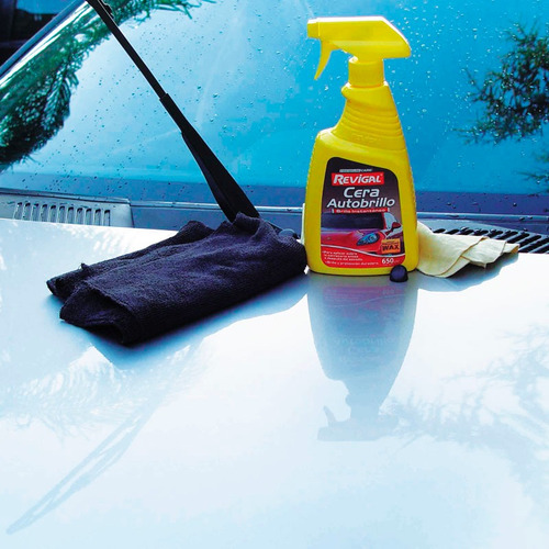 Cera Auto Brillo Exterior Protege Pintura Duradera Revigal