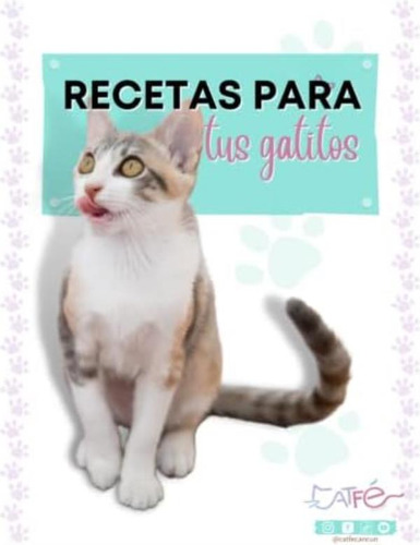 Libro: Recetas Para Tus Gatitos: Los Mejores Premios Caseros