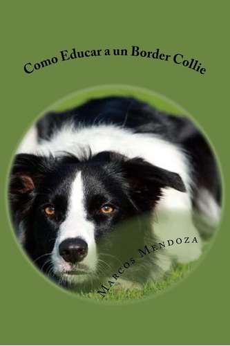 Libro Como Educar A Un Border Collie En Español