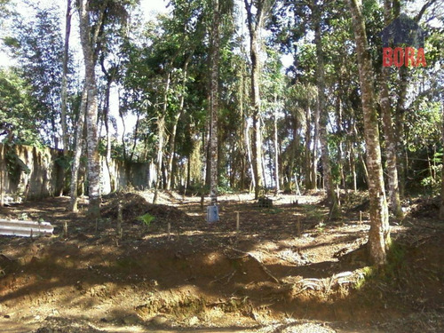 Imagem 4 de 5 de Terreno À Venda, 750 M² Por R$ 125.000 - Boa Vista - Mairiporã/sp - Te0221