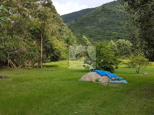 Imagem 9 de 20 de Terreno A Venda No Bairro Ingleses Do Rio Vermelho Em - 4334-1