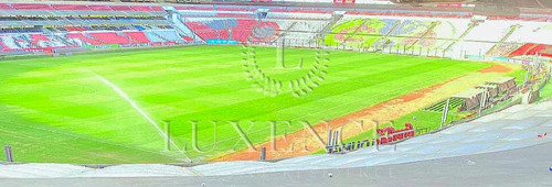 Venta De Palco En Estadio Azteca