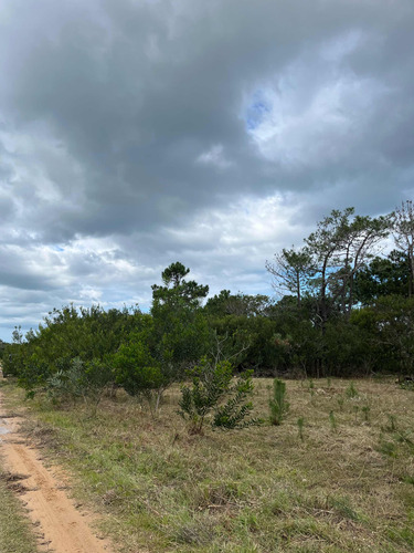 Terreno En Oceanía Del Polonio, Rocha