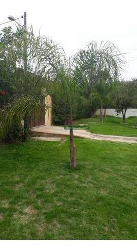 Imagem 11 de 18 de Chácara Com 3 Dormitórios À Venda, 3500 M² Por R$ 650.000,00 - Embaú - Cachoeira Paulista/sp - Ch0651
