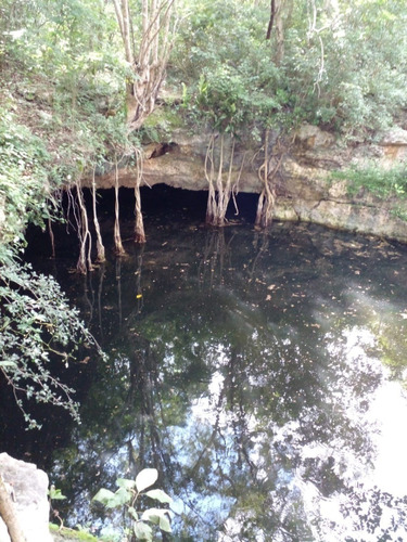 Rancho Cerca De Merida Propiedad Privada Con Cenote