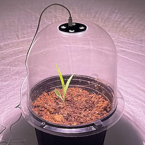 Protector De Campana Para Plantas, Campanas De Engrosado