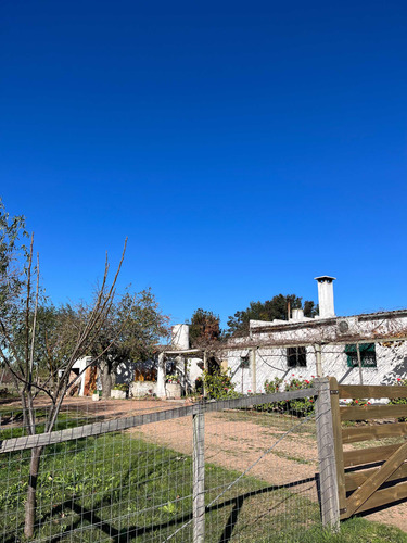 Casa Quinta Con Viñedo Las Piedras