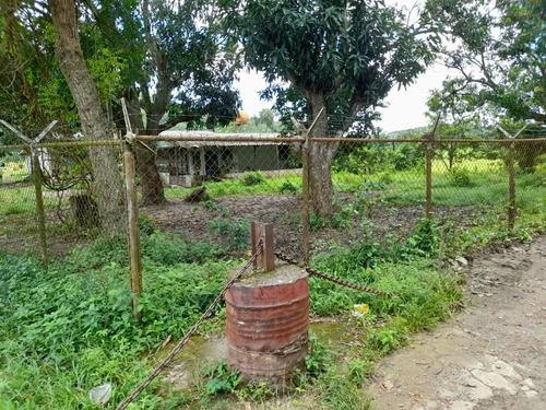 Imagen 21 de 30 de Finca En Guigue, 35 Hectareas. 5610462