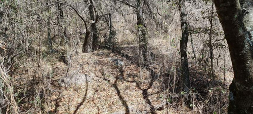 Imagen 8 de 13 de Venta Fracción 2 Has Unquillo-córdoba- A 1,5 Km De Av San Martín-sierras Chicas