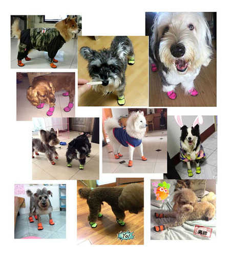 Botas De Nieve, Zapatos Para Perros, Botas Para Mascotas, Go