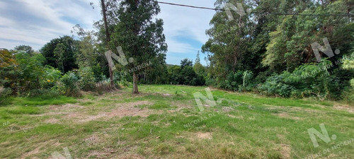 Imagen 1 de 11 de Venta Terreno - Punta Ballena Santa Hilda