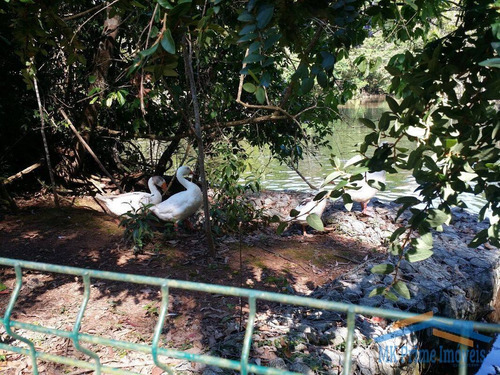 Imagem 13 de 15 de Linda Terreno No Condomínio Ecoville, Terreno Com 2.526 M²!!! - 3173