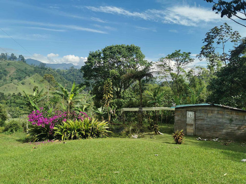 Imagen 6 de 13 de Finca - Boquia - A Cinco Minutos De Salento.