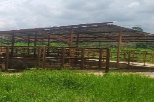 Imagen 5 de 12 de Aa Asein1731 Vende Excelente Finca En El Sector Las Manzanita En Tinaquillo Edo. Cojedes.