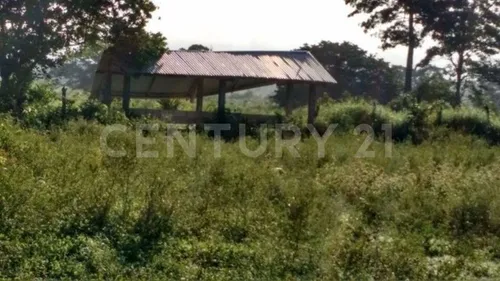 Rancho Agrícola Y Ganadero En Champotón Campeche. 50 Hectareas De Pastizales.