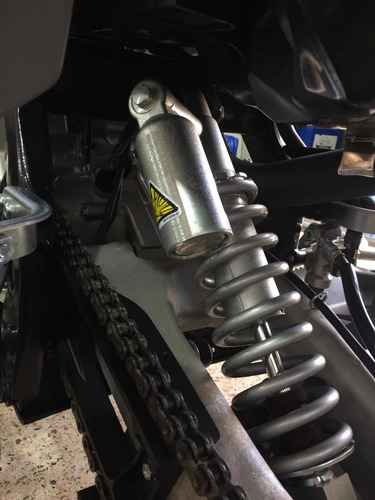 Yamaha Raptor