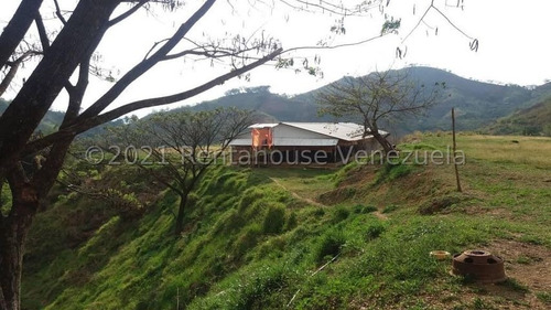 Imagen 6 de 24 de Angelica Nati Rent A House Finca En Venta Vallecito Tinaquillo Cojedes Cod 22m6016 Ar