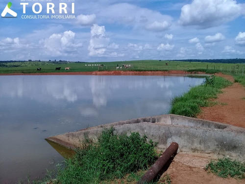 Fazenda À Venda Região De Bauru - Fa00132 - 69211844